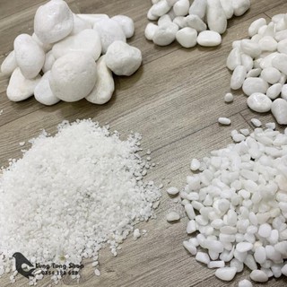 [ Nhiều size ] Đá sỏi trắng trang trí ( chọn size )