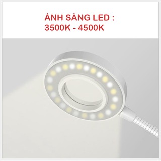 Bộ Giá đỡ Livestream có đèn Led