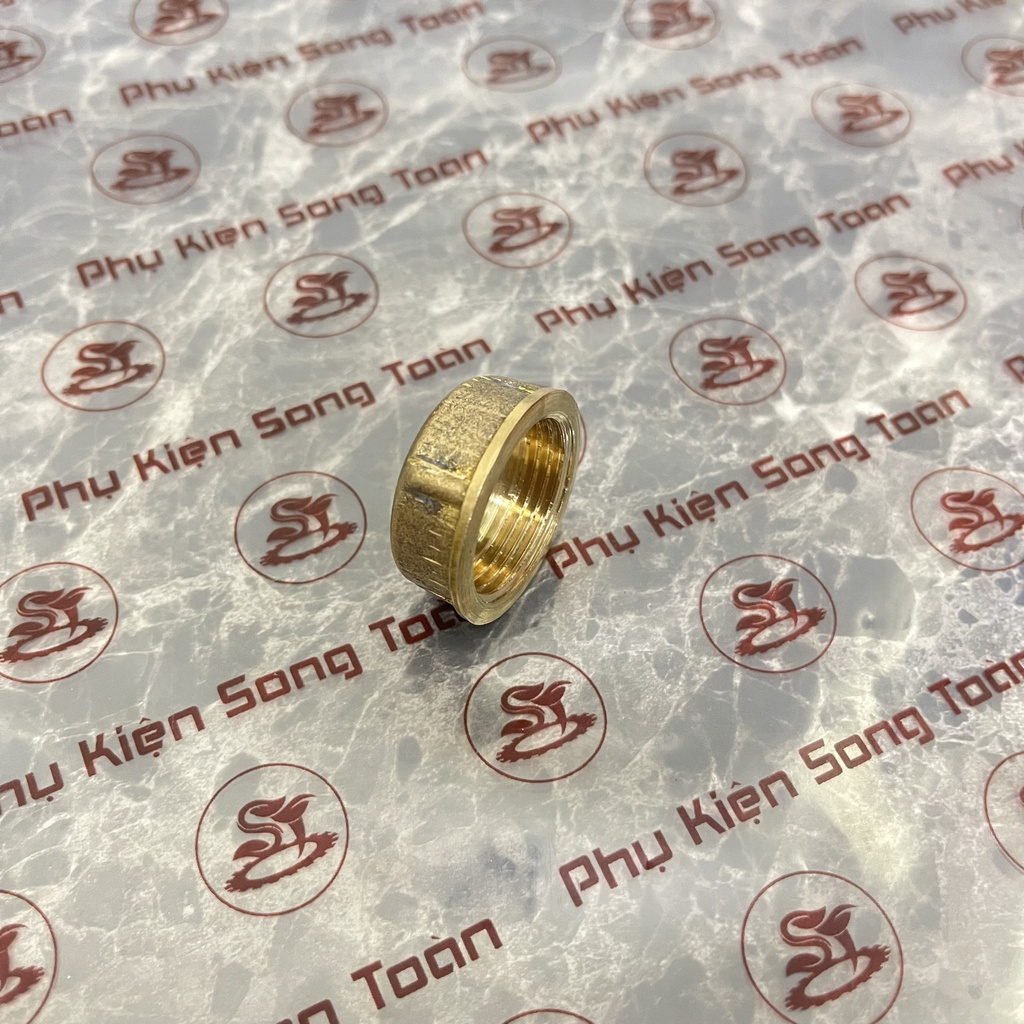 [BỊT REN 21 &amp; 27] Nút đầu bịt ren trong ngặn chặn dòng chảy &amp; khí nén ren BSP - Đồng đúc (Brass pipe plug cap female)