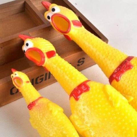 Con Gà La Hét Vui Vẻ Cỡ Đại