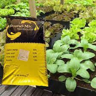 Đạm Cá Hàn Quốc Round Mic ( GÓI 1kg )  - Phân Bón Hữu Cơ Dạng Viên Cung Cấp Dinh Dưỡng Cho Cây Bonsai