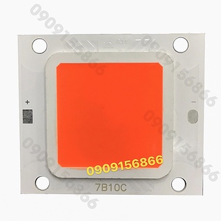 Mắt led pha cob 36v 50w