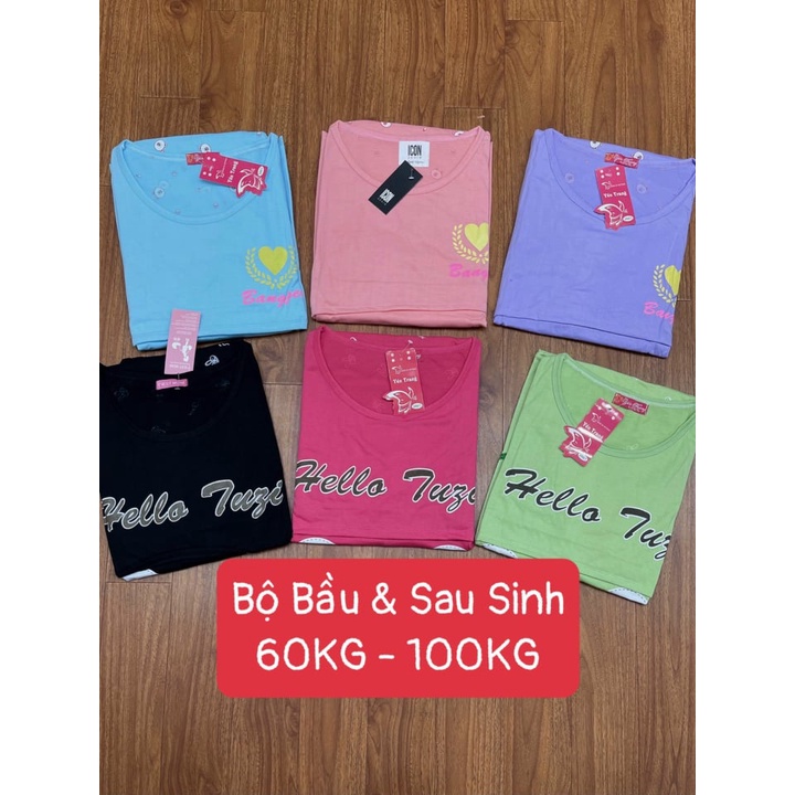 Bộ Bầu Và Sau Sinh Thỏ Tuni, Chất Cotton Đẹp