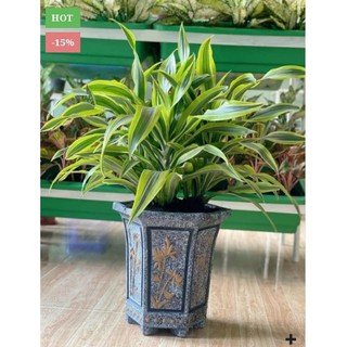 Khuôn đúc chậu ống 33