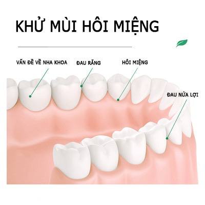 NƯỚC SÚC MIỆNG DẠNG GÓI HƯƠNG HOA QUẢ TỰ NHIÊN CHO HƠI THỞ THƠM MÁT DỄ CHỊU SamBeauty