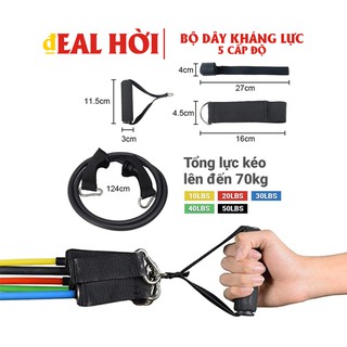 Bộ Dây Kháng Lực 5 Cấp Độ Tập Luyện Hiệu Quả Toàn Thân Chỉ Với Một Bộ Dụng Cụ