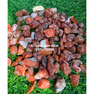 [Gói 200g] Sỏi trang trí, đá trang trí tiểu cảnh, bể cá, đá trang trí chậu hoa