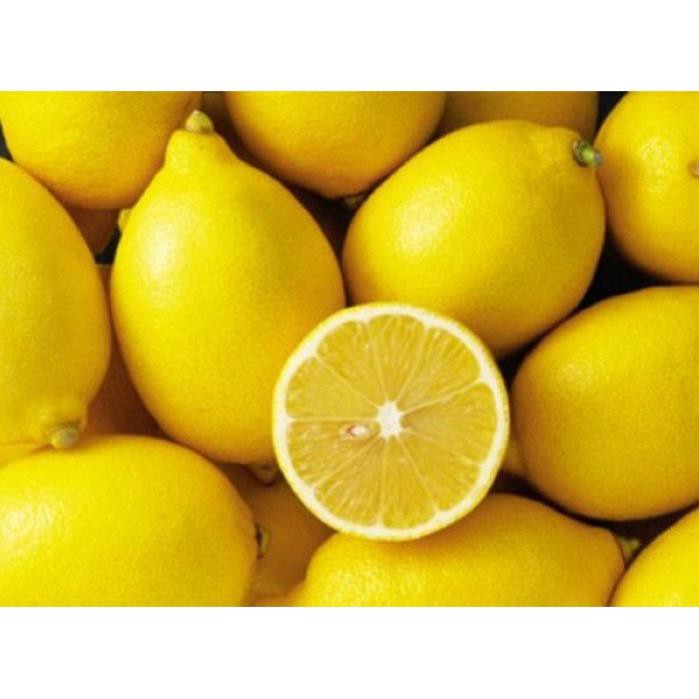 Cây chanh vàng mỹ eureka 39K