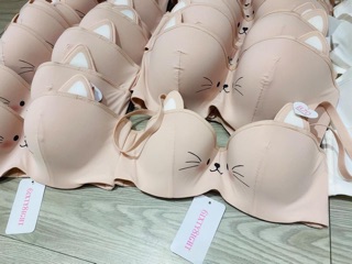 Áo Ngực 6ixty8eight Hình
