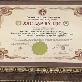 Dừa Sáp Loại Lỏng Trái To - Đặc Sản Trà Vinh