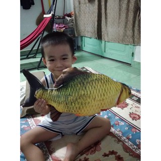 Cá Chép Bông Việt Nam 55cm