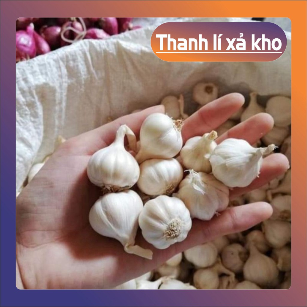 Tỏi khô Lý Sơn chính hiệu 100%