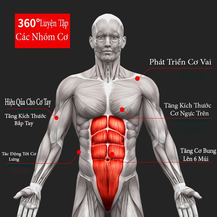Con Lăn Trợ Lực Tập Cơ Bụng Tại Nhà Cao Cấp – Thiết Bị Tập Thể Dục , Tập Gym Hỗ Trợ Tăng Cơ Giảm Mỡ Toàn Thân