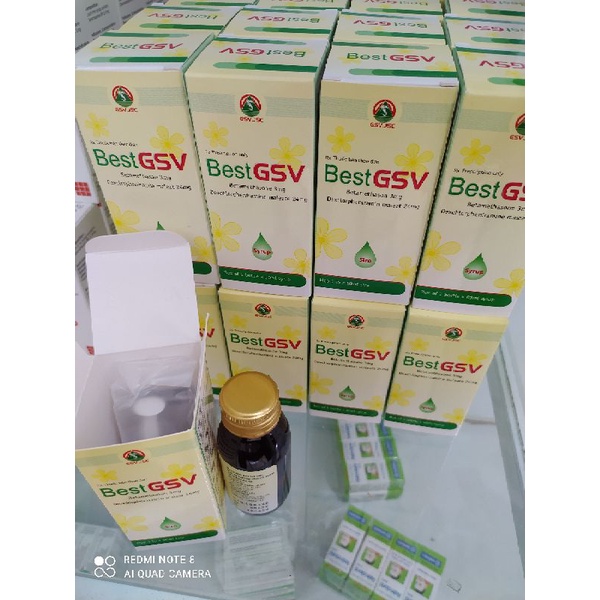 Best gsv hộp 1lọ x 60ml siro