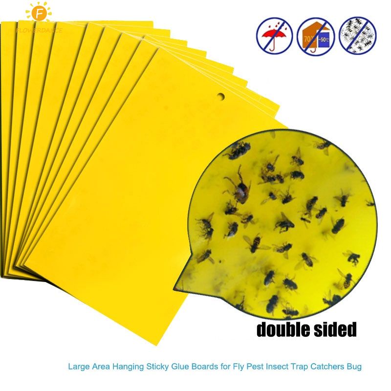 10/20/30PCS Dính Bay Bẫy Giấy Màu Vàng đôi-Sided chú ý côn trùng ban Bẫy Trái Cây Ruồi côn trùng Keo nhà Mạnh Dream Catcher ban đối với Vườn rau vườn FLOWERDANCE