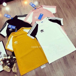 Combo áo phông adidas