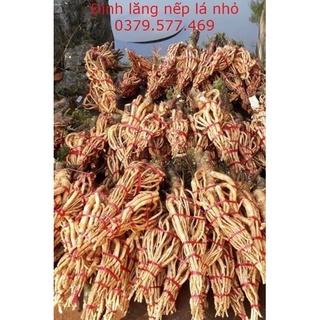 Củ đinh lăng tươi nguyên củ, Sưu tầm trong dân (1kg-2kg)