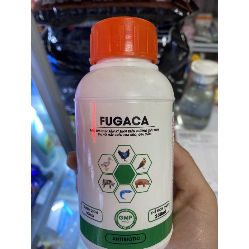 Fugaca cho vật nuôi