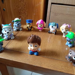 Set 10 chú chó cứu hộ