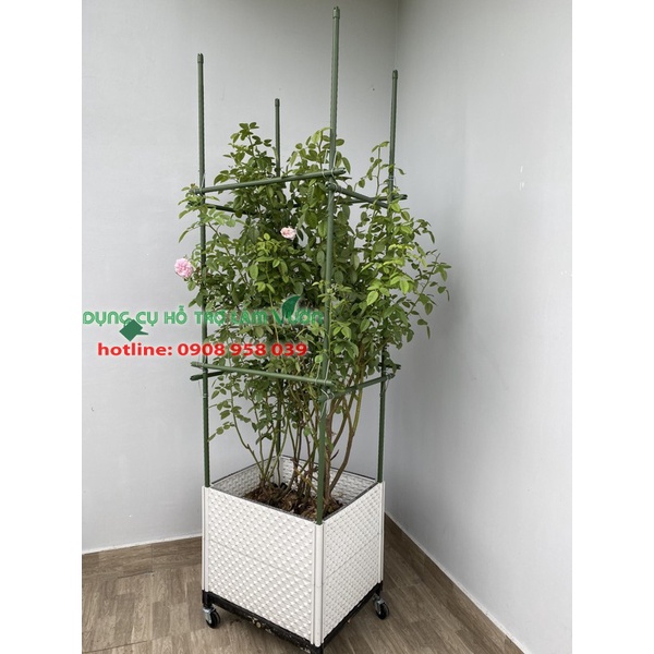 Chậu ghép của Nhật đáy chậu rộng 42cm dài 51cm cao 29cm có bánh xe đẩy