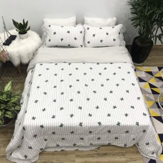 Sét đũi bèo mẫu mới (ib để chọn mẫu)