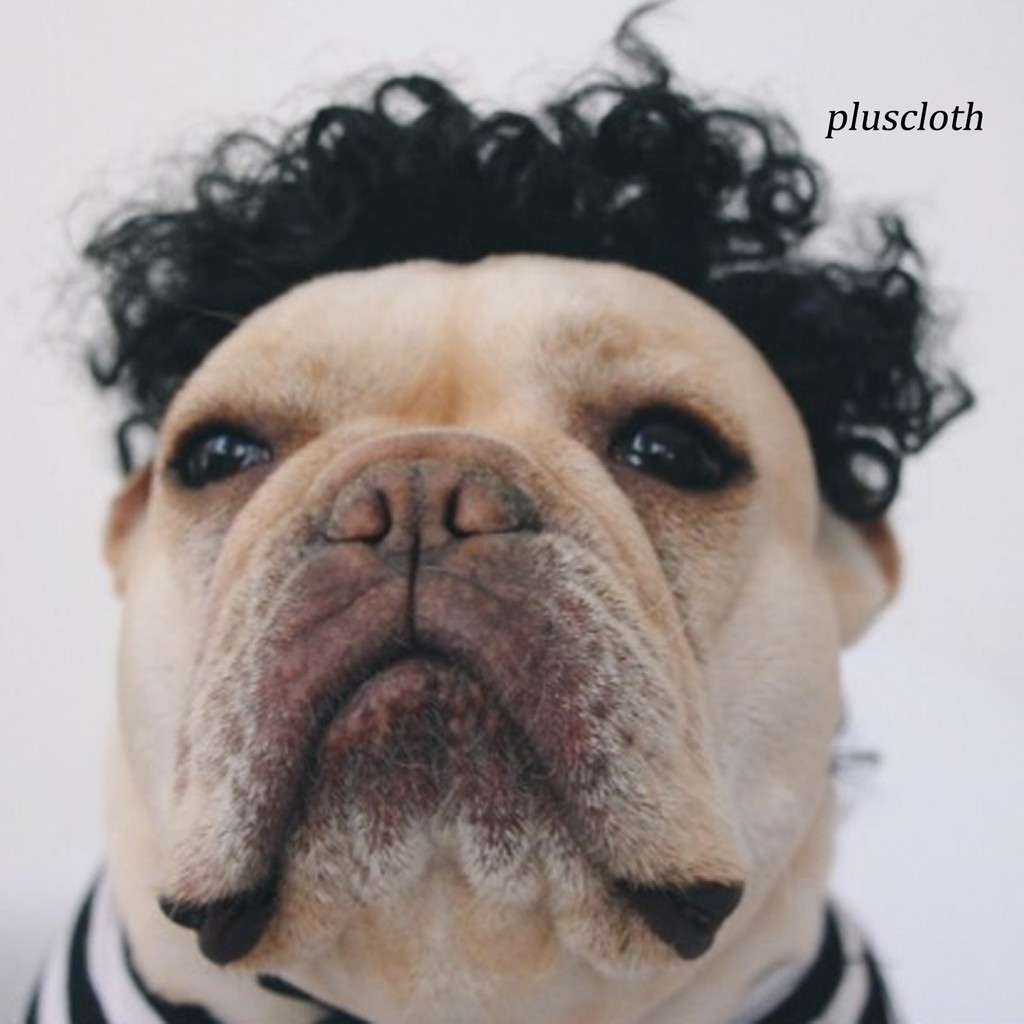 Tóc Giả Hóa Trang Cho Thú Cưng