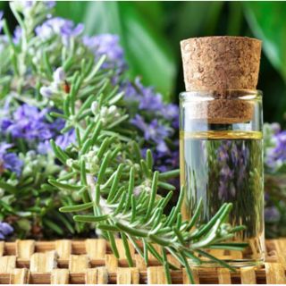 Tinh dầu Hương thảo nhập khẩu 10ml