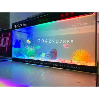 FULL COMBO Bể cá cảnh mini 40cm lọc thác tràn kèm đèn led (hồ cá, lọc vách, đèn led, sỏi màu, cây, thức ăn cá)