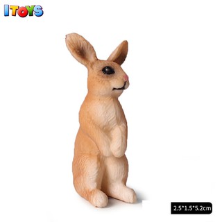 Mô hình con thỏ