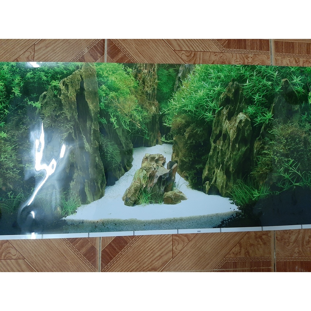 Tranh dán bể cá 1m