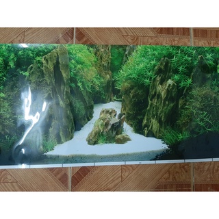 Tranh dán bể cá 1m
