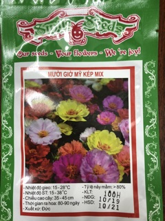 Hạt giống hoa mười giờ Mix 💐