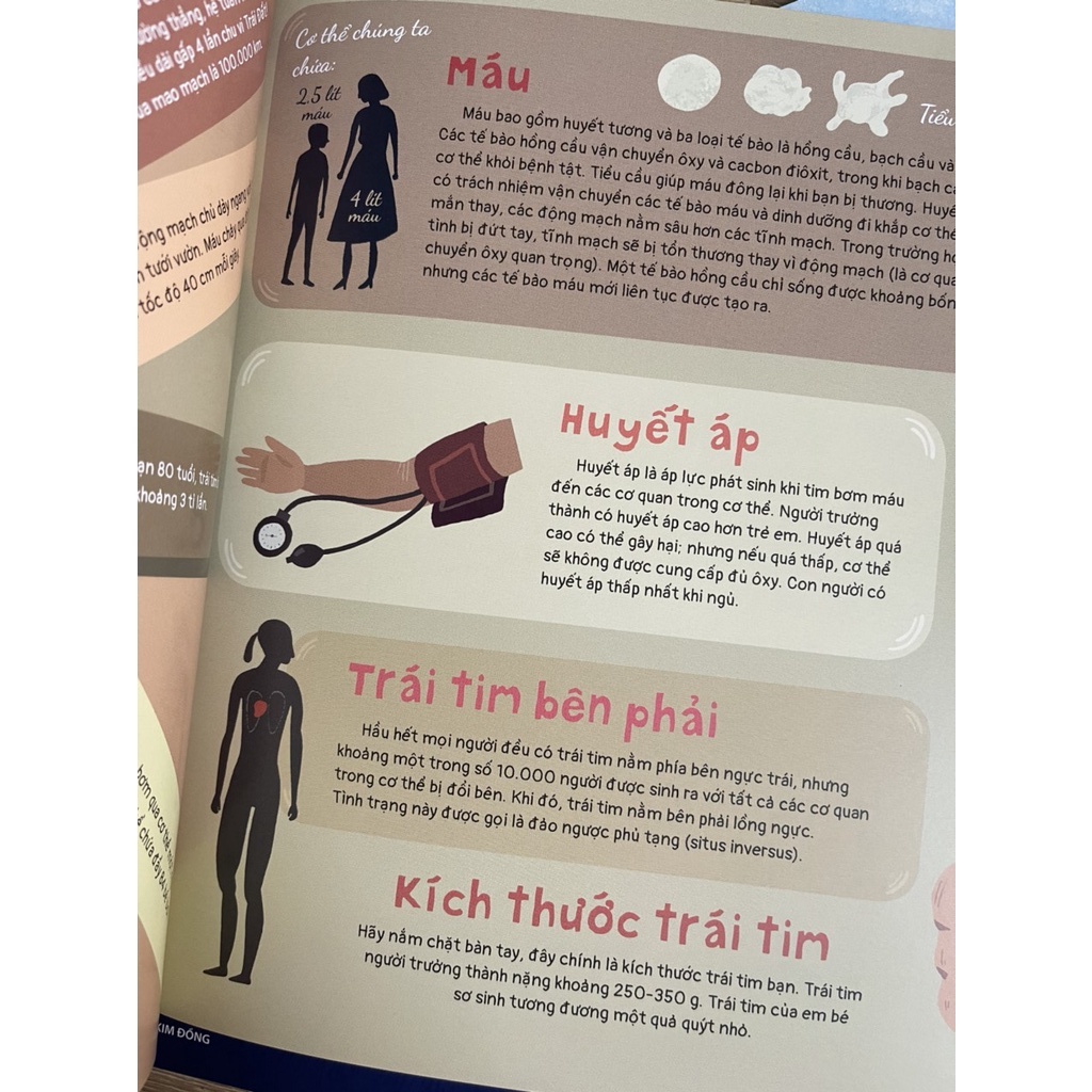 Sách - Trái Tim Và Hơn Thế Nữa - Dưới Góc Nhìn Sinh Học Và Văn Hóa, Kèm Theo Các Trò Chơi Và Thực Hành Thú Vị