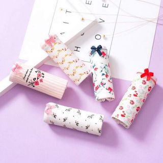 Combo 5 QUẦN LÓT TÚI ZIP
