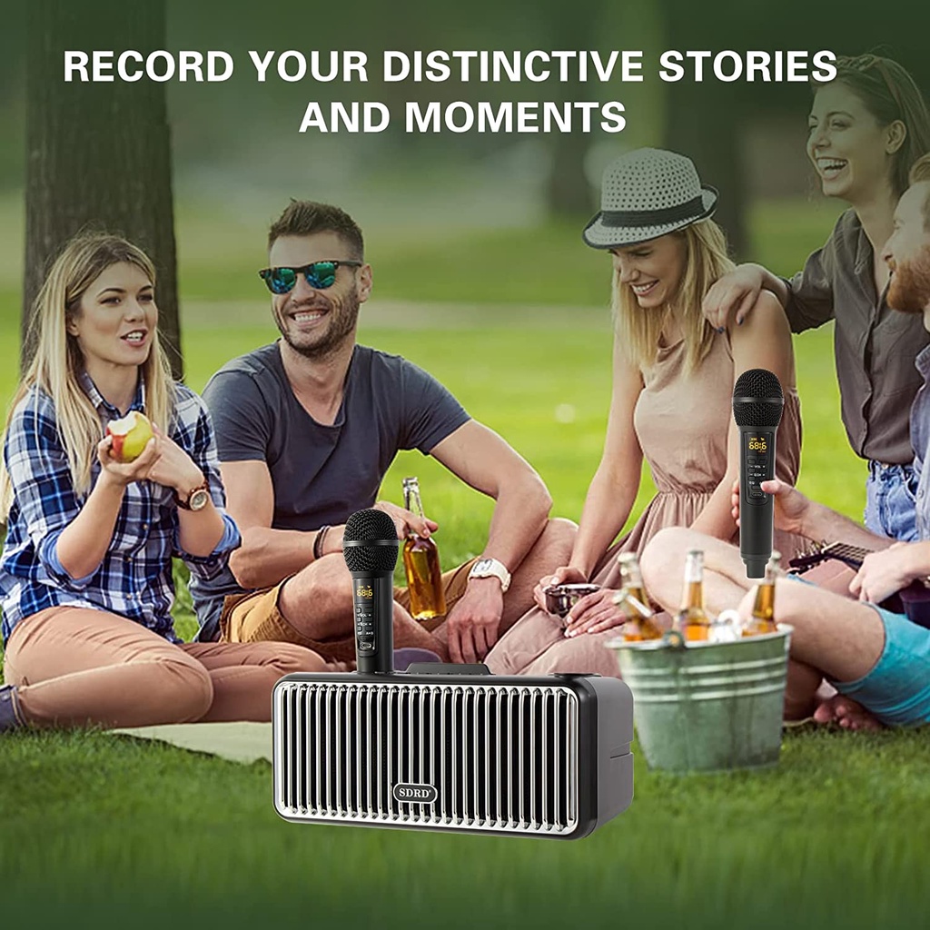 Loa Karaoke SDRD SD-319 Pro Bluetooth