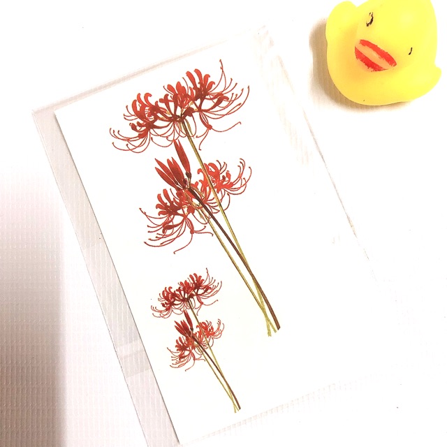 Hình xăm dán hoa bỉ ngạn đỏ 10x6cm_ mua 5 tặng 1 tattoo xinh