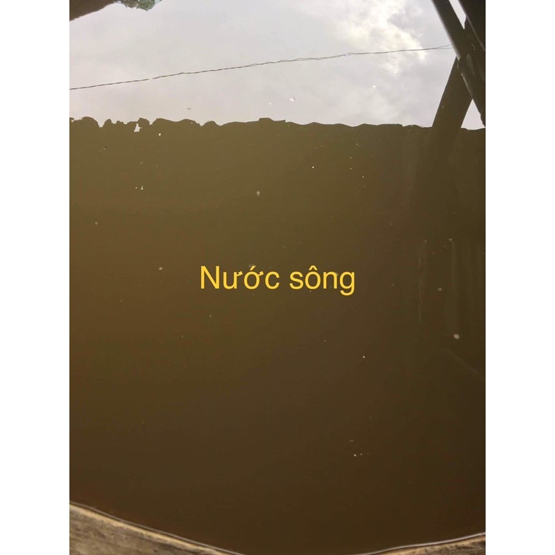 Bột Xử Lý Nước Sông Thanh Mai 140G