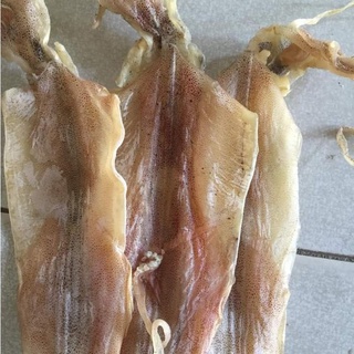Mực Khô Câu (size 12-15 con/kg) - Lẻ 1 Con