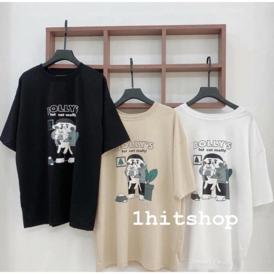 Áo Thun BOLLY 3 Màu Unisex