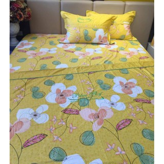 Ga chun thương hiệu Hanvio - Dòng Bluesky cao cấp - CTM DL123