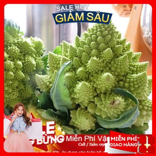 Hạt Giống Súp Lơ San Hô - 10Hạt / Gói