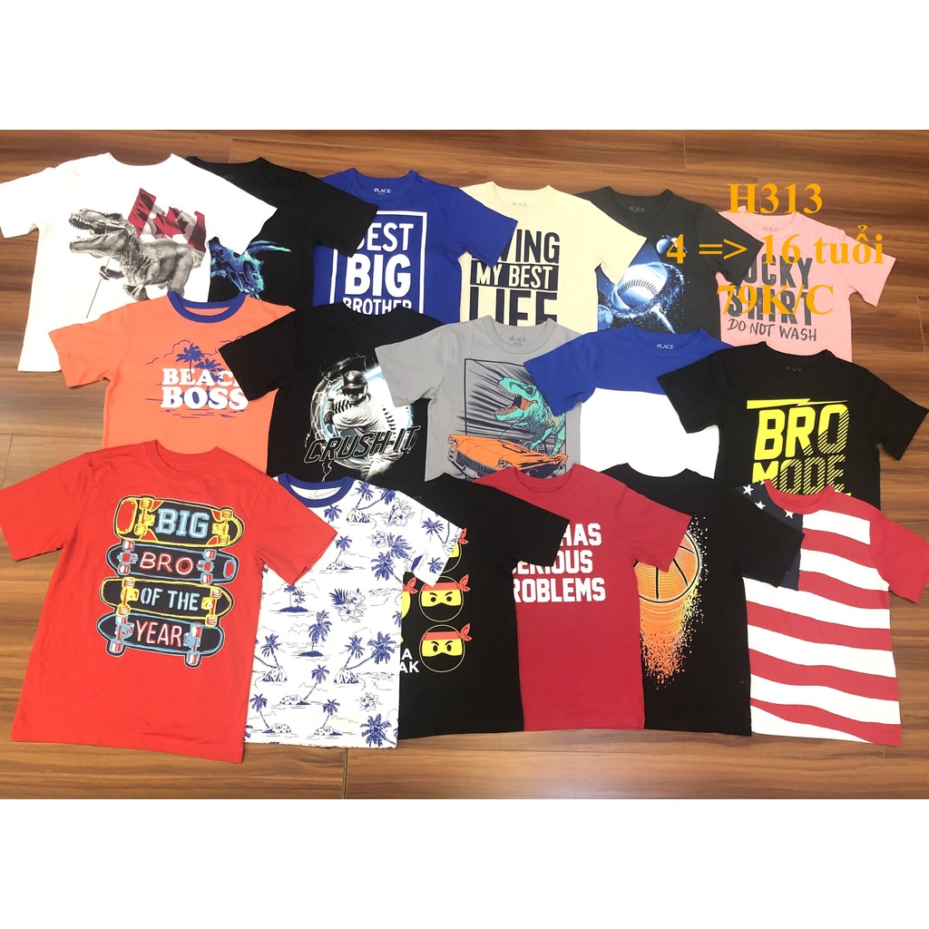 * Mã H313:  Áo bé trai cotton hàng VNXK dư xịn. Chất cotton mềm, thấm hút mồ hôi BC 9373
