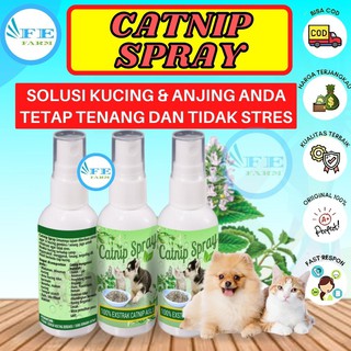 Bình Xịt Catnip 60Ml Giảm Căng Thẳng Cho Mèo