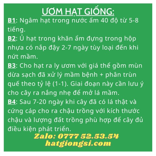 Hoa Cúc Mini Vàng(0.03g)