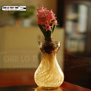 BÌNH BÔNG LỌ HOA THỦY TINH MIỆNG LOE 350ML(MS03)