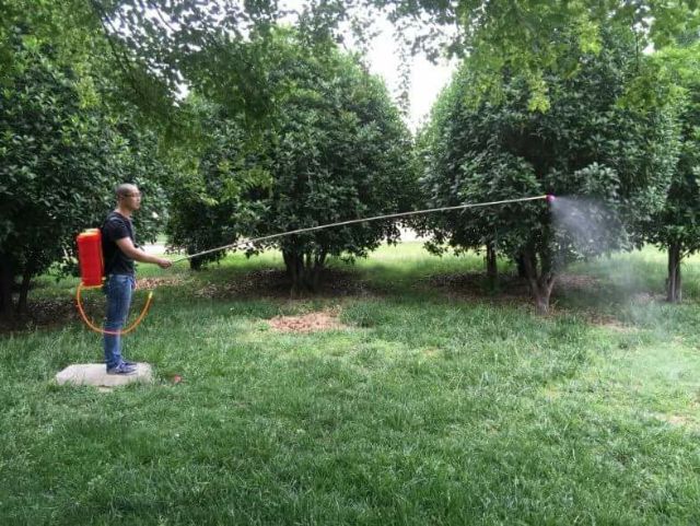 Cần phun thuốc bvtv kéo dài