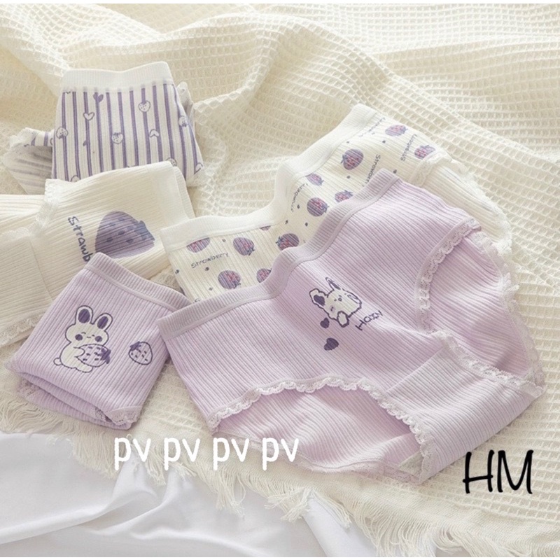Set 5 Quần Chip Siêu Dễ Thương
