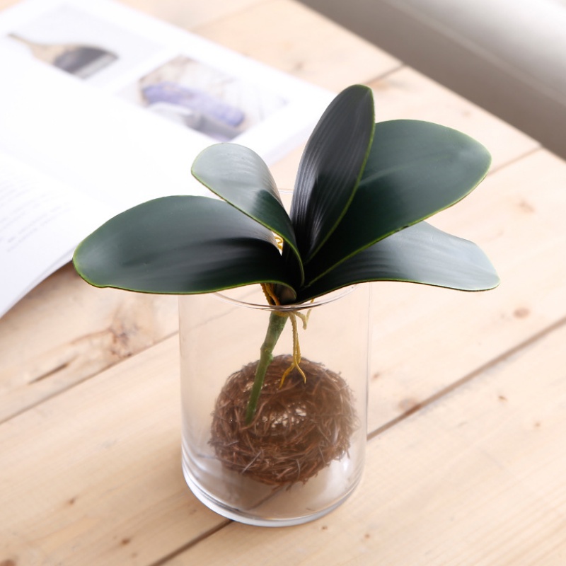 Cây Lan Giả Có Rễ, màu xanh hàng loại 1 (5 lá) trang trí, decor nhà, cắm để bàn, chụp ảnh.