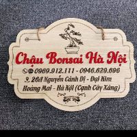 Chậu Bonsai Hà Nội