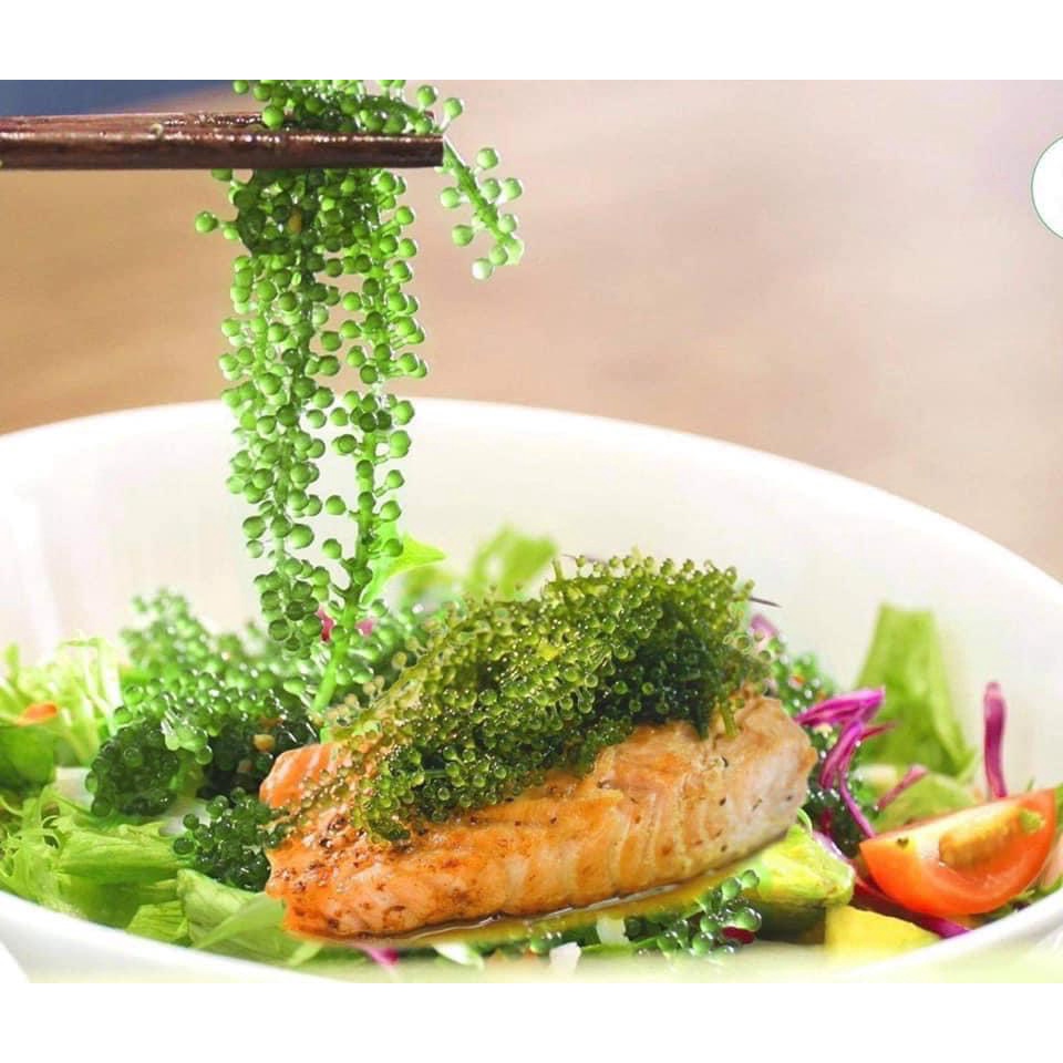 COMBO 1 Gói Rong Nho Tách Nước KHÁNH HÒA SEA GRAPES 25G + 1 Gói Xốt Mè Rang KEWPIE 15ml | BigBuy360 - bigbuy360.vn